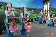 2019年中国北京世界园艺博览会“福建日”活动来了！