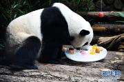 大熊猫：空调房里乐享清凉一夏