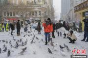 黑龙江暴雪来袭：游客“以雪为令”赏冬景 