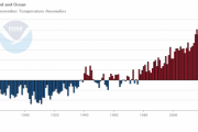 世界气象组织：2020年或为有记录以来最热年份之一
